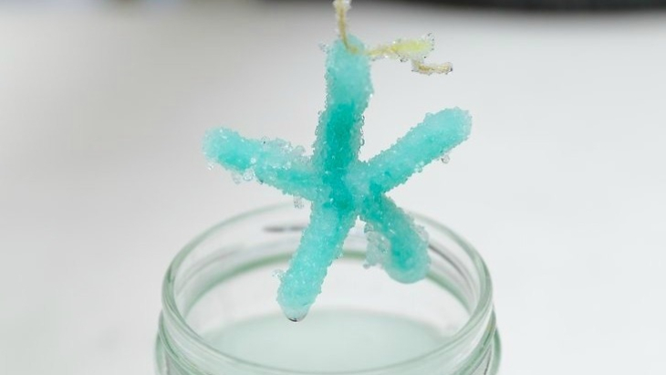 Science experiment crystal snowflake