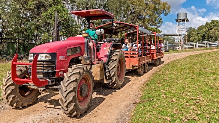 Calmsley Hill City Farm Tractor Rides