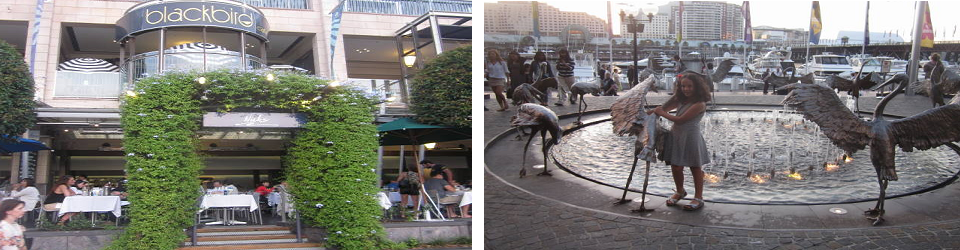 ellaslist reviews Darling Harbour at Night 4