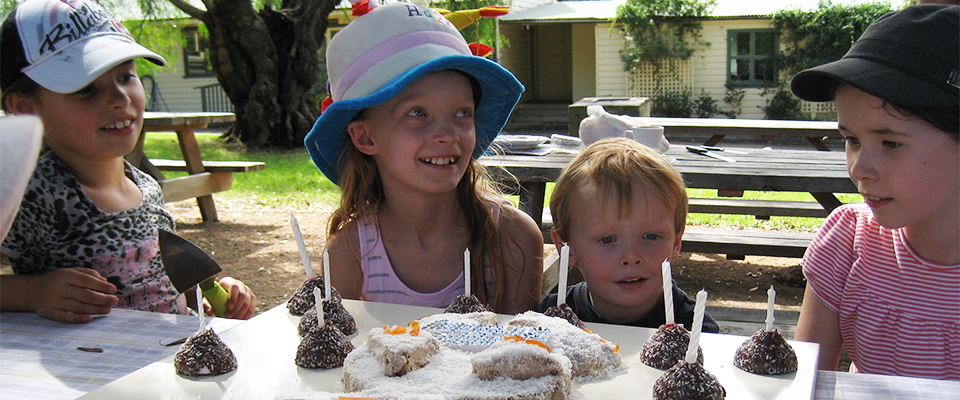 Celebrate A Kids' Birthday Party at Calmlsey Hill City Farm 960x400