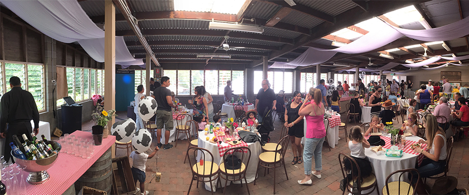 Catered Birthday Lunch at Calmlsey Hill City Farm 960x400