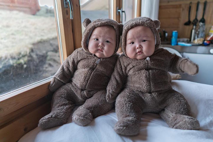 little bears