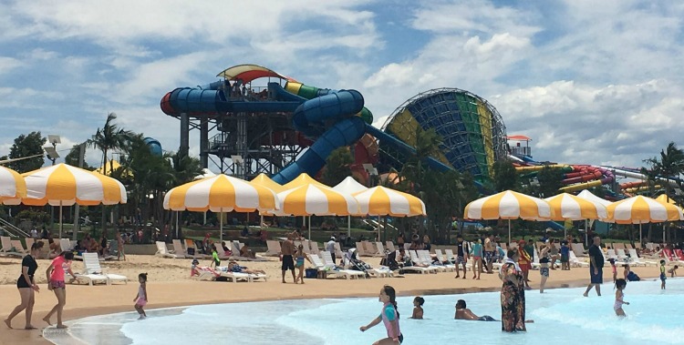 the beach umbrellas