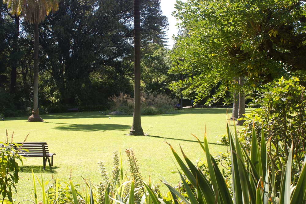 Six of the Best Picnic Spots In Melbourne | Botanical Gardens