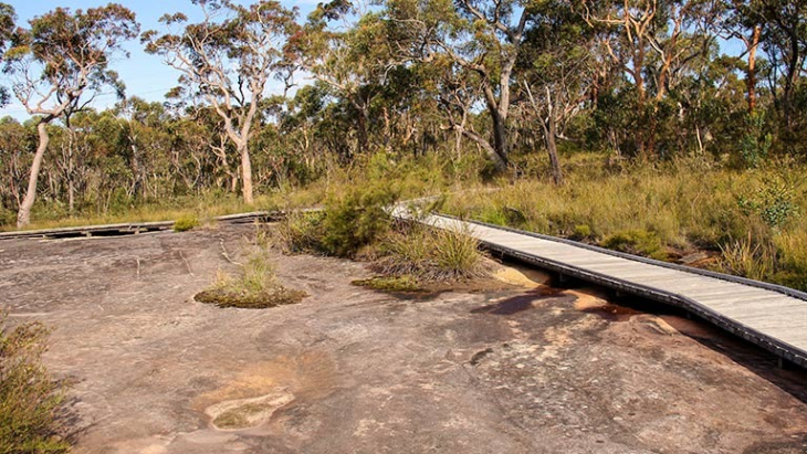 Aboriginal walk for kids Sydney