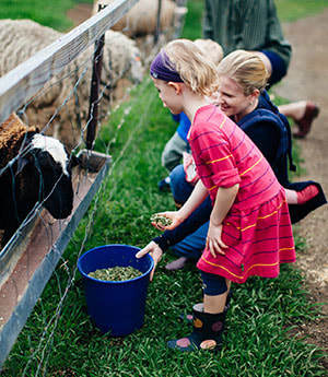 Best Farm Stays for families in Brisbane