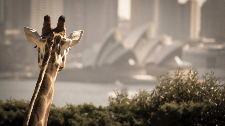 Taronga Zoo