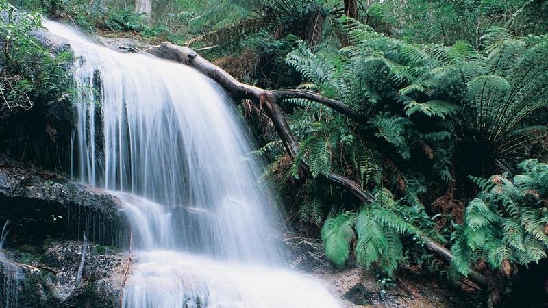 Hopetoun Falls