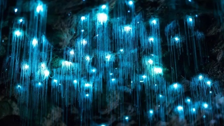 Glow Worm Caves near Sydney