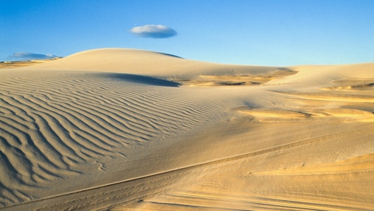 Stockton Sand Dunes