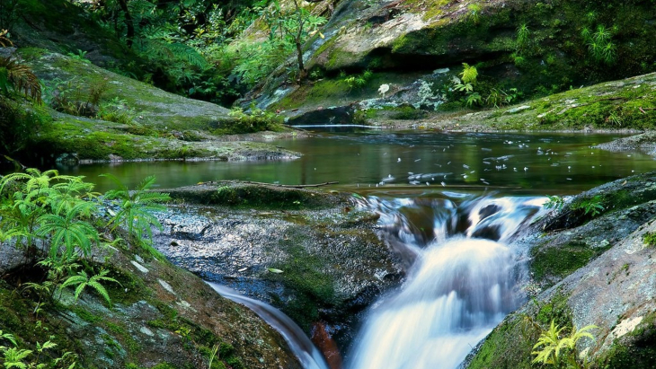 Old Olney Camping Area