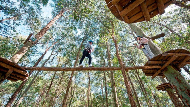 Treetops Adventure Park