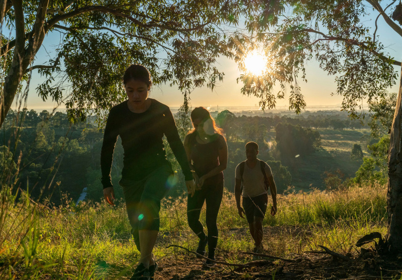 Bush walks Sydney for kids