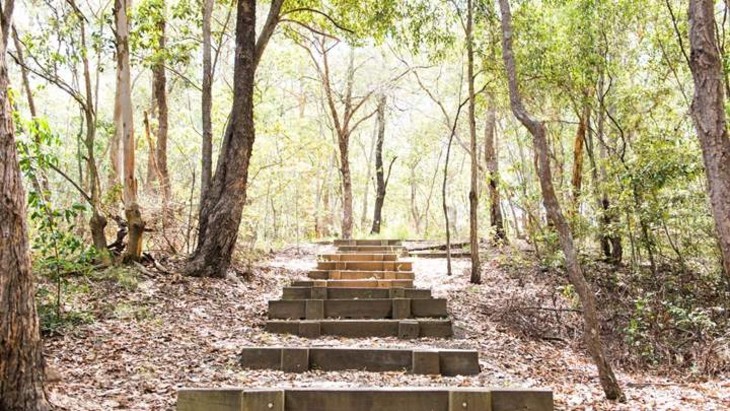 Denmark Hill walks with kids Ipswich