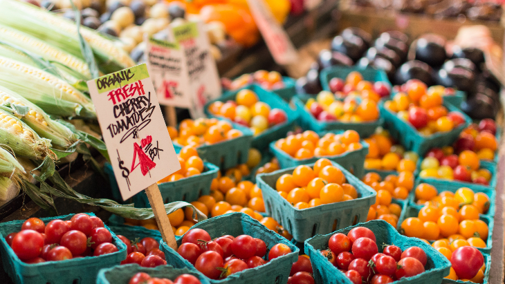 Berry Reserve Market Narrabeen Lakes