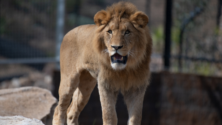 Sydney Zoo