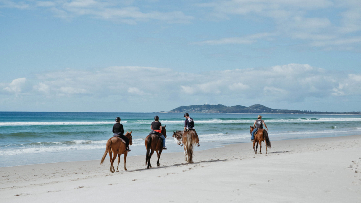Zephyr Horses, Byron Bay beach horse riding