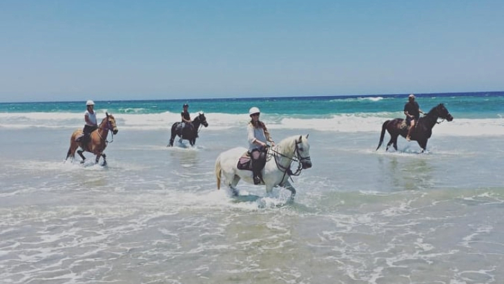 Pegasus Park Equestrian Centre, Bangalow beach horse riding
