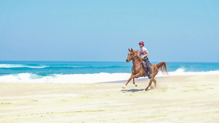 Southern Cross Horse Treks, Port Macquarie beach horse riding