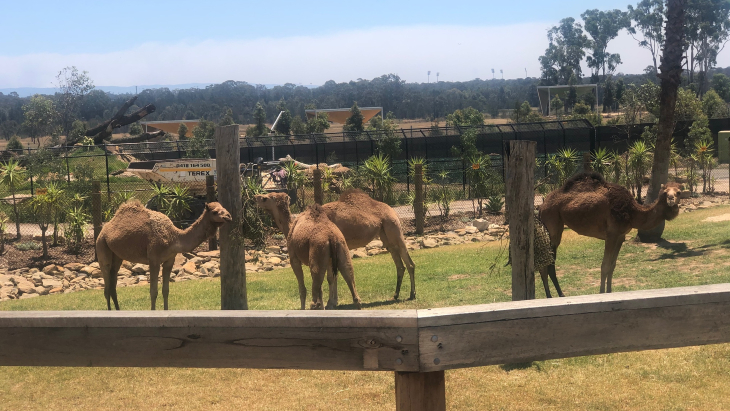 Western Sydney Zoo
