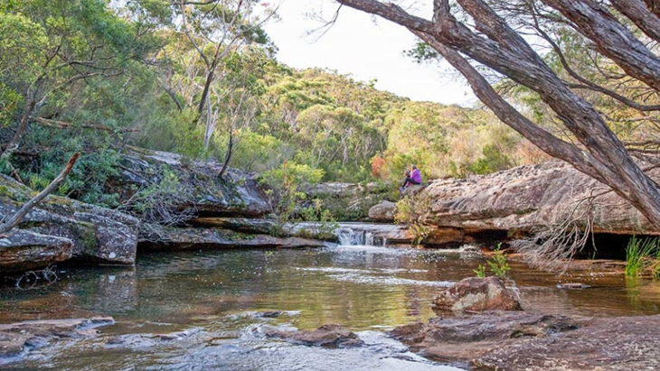 Kingfisher Pool Picnic Area