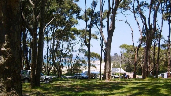 Dog-friendly camping Mystery Bay Campground