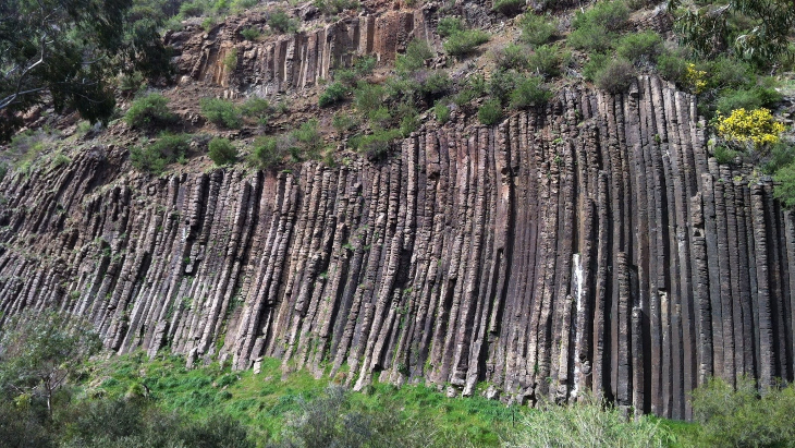 organ pipe walk