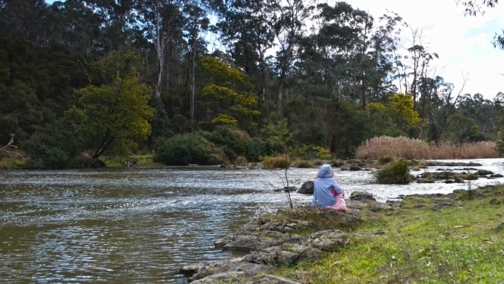 Warrandyte State Park