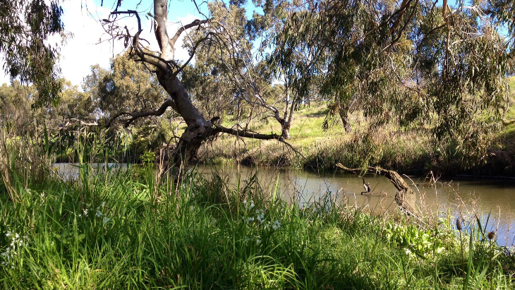 Kororoit Creek