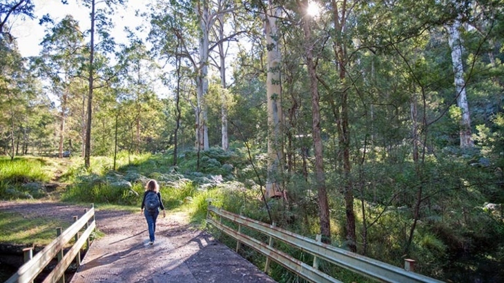 Nepean River Walk