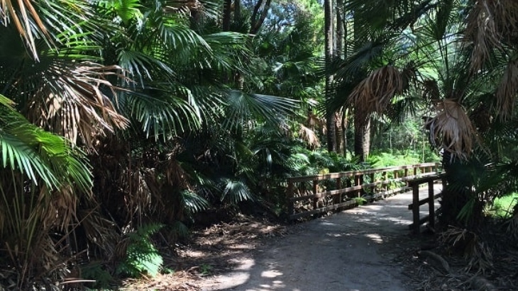 Narrabeen Lagoon Trail 