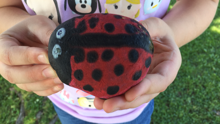 Painted Rocks