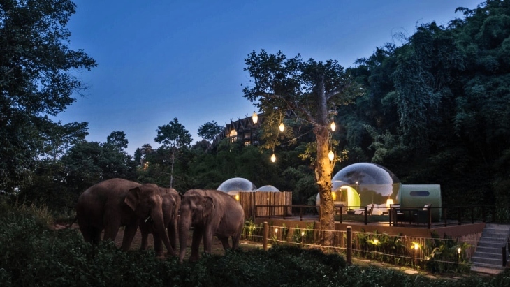 Anantara Jungle Bubbles Thailand