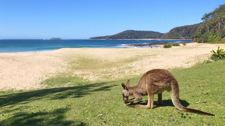 Pebbly Beach