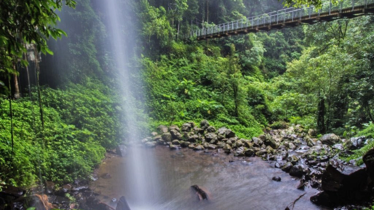 Crystal Shower Falls