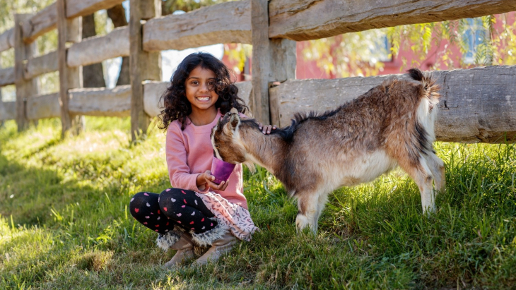 Golden Ridge Animal Farm