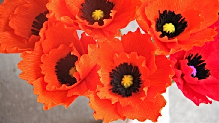 Poppy Craft