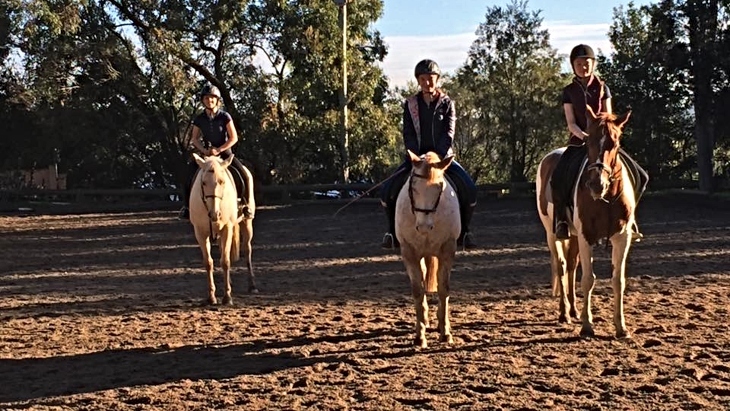 South East Equestrian Club - Palomino Riding School