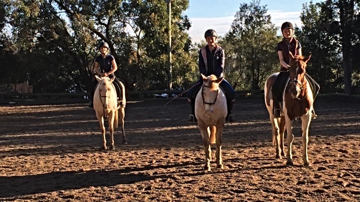 Palomino Riding School