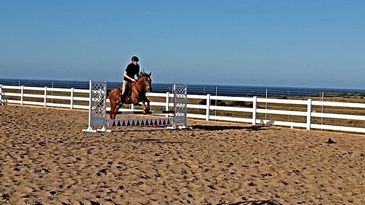 Horse Riding lessons in Sydney - South East Equestrian Club