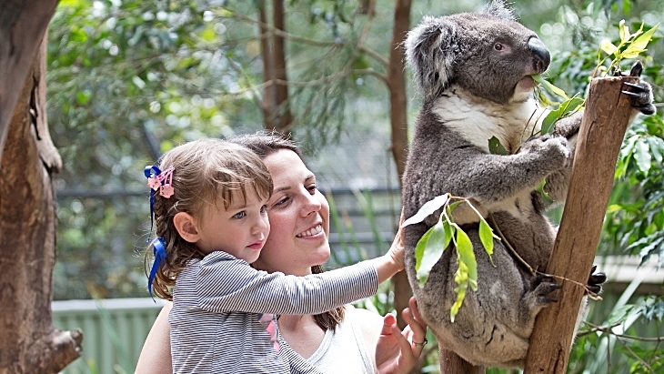 Featherdale Sydney Wildlife Park is one of the best Animal Activities And Petting Zoos In Sydney