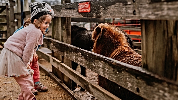 Animal activities and petting zoos in Sydney