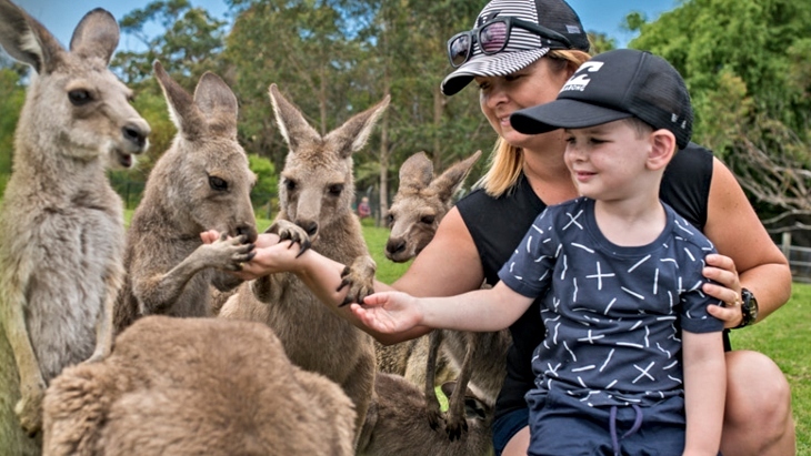 Symbio Wildlife Park