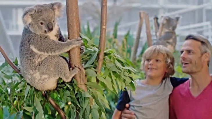 Wildlife Sydney Zoo