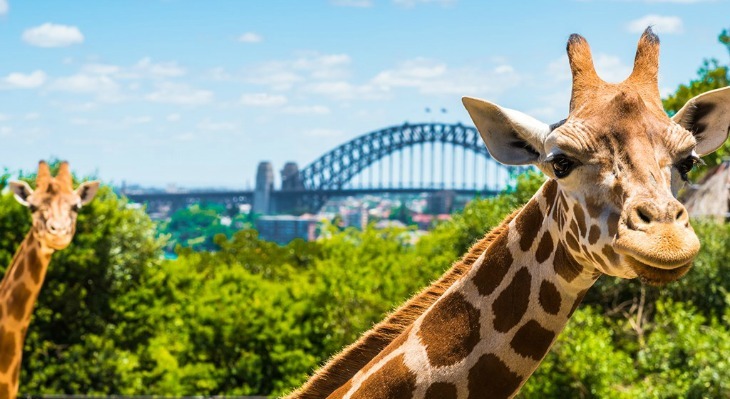 Taronga Zoo