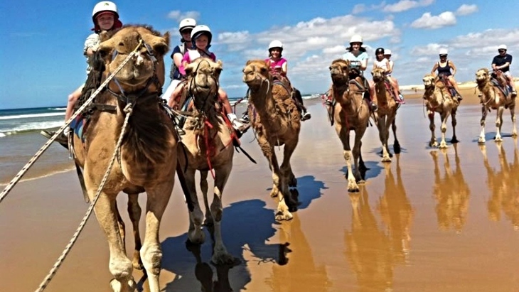 Oakfield Ranch In Port Stephens