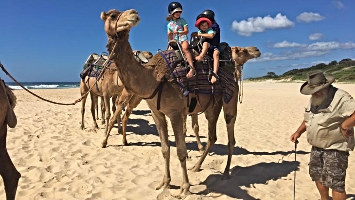 Port Macquarie Camel Safaris