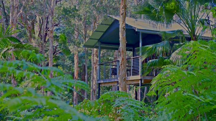 Treehouse accommodation - Diamond Waters
