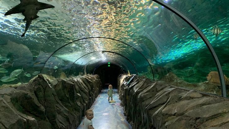 Sea Life Sydney Aquarium 