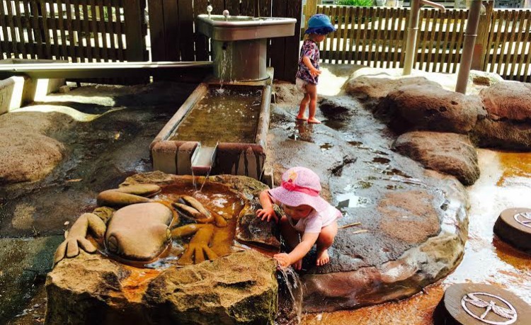 Taronga Zoo